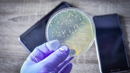 Araştırmacılara nazaran cep telefonları tuvaletlerden daha kirli